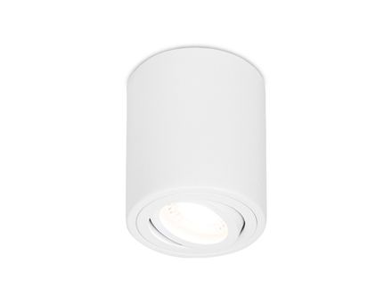 Накладной поворотный точечный светильник TN225 WH белый GU5.3 D80*100
