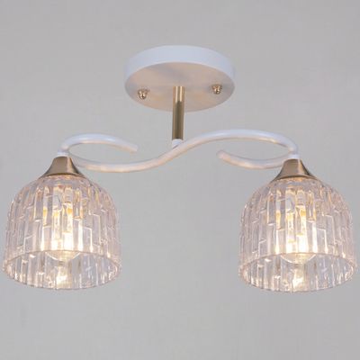 16360-0.3-02 WH+FG светильник потолочный