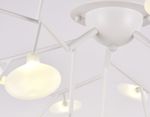 Потолочная люстра TR3011/27 WH/FR белый/матовый G4*27 max 20W D730*430 (лампы LED G4 1.5W 4200K в комплекте)