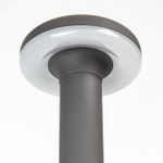 Citilux CLU01B LED Уличный парковый светильник Графит