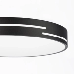 Citilux Купер Лайн CL72470GL1 LED RGB Светильник с пультом Чёрный