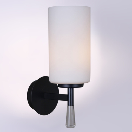 IL2218-1WLS-24 HIGHBALL светильник настенный ILLUMICO, E27х1