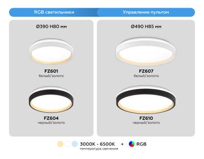 Потолочный светодиодный светильник с пультом FZ607 WH/GD белый/золото IP20 66W 3000K-6500K+RGB D490*85 (ПДУ ИК)
