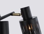 Светильник накладной TR8668/2 BK/SB чёрный/бронза E14/2 max 60W 360*100*190