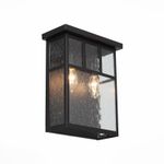 SL079.401.02 Светильник уличный настенный ST-Luce Темный кофе/Прозрачное кракелированное стекло E14 2*60W