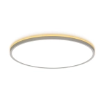 Citilux NORMA CL748500 LED Светильник с подсветкой Белый