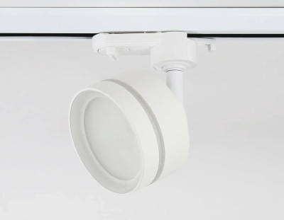Cветильник трековый GL5384 WH/FR белый/белый матовый GX53 max 12W