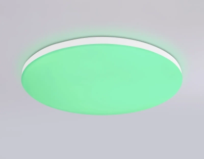 Потолочный светодиодный светильник с Wi-Fi Яндекс Алисой/Tuya/Smart Home/Alexa FZ2001 WH белый IP54 20W 3000K-6500K+RGB D300*55 (ПДУ ИК)