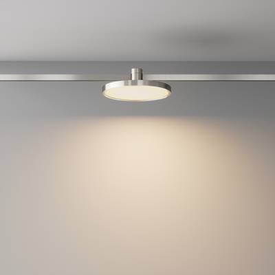 Трековый светильник Plato Flarity 3000K 10Вт 120° TR153-1-10W3K-PT. TM Maytoni