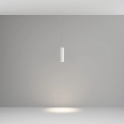 Трековый подвесной светильник Фокус / Focus Led Exility 2700-6000K 12Вт 36° Dim Dali1, TR041-4-12WTW-DD-W. TM Maytoni