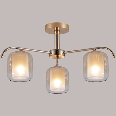 98470-0.3-03 светильник потолочный