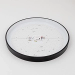 Citilux Купер CL724105G1 LED RGB Светильник с пультом Чёрный