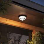 Уличный потолочный светильник Arte Lamp PEGASUS A3100PL-1BK, 1хE27
