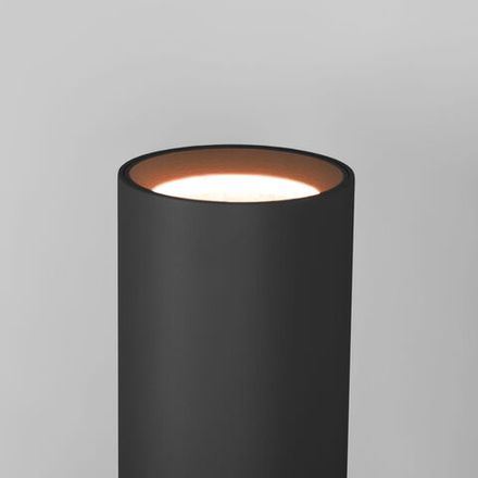 Светильник настенный светодиодный Langer IP44 40123/LED черный
