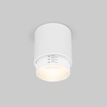 Накладной светодиодный светильник Cors 25032/LED 10W 4200K белый