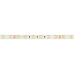 Светодиодная лента RT-B60-10mm 24V White6000 (14.4 W/m, IP20, 5060, 5m) (Arlight, 14.4 Вт/м, IP20)