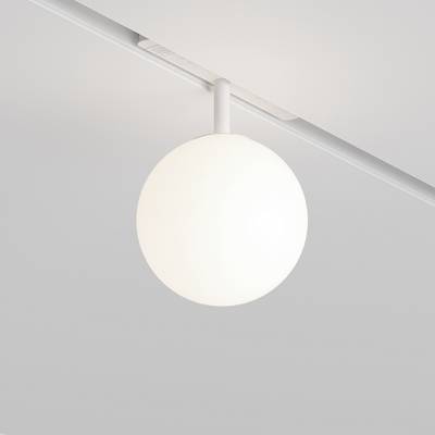 Трековый светильник Luna Exility 2700-6000K 5Вт 360° Dim Dali1, TR038-4-5WTW-DD-W. TM Maytoni