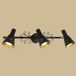 Citilux Дункан CL529531 Спот поворотный Коричневый