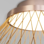 Потолочный светодиодный светильник 40019/1 LED коричневый, LED