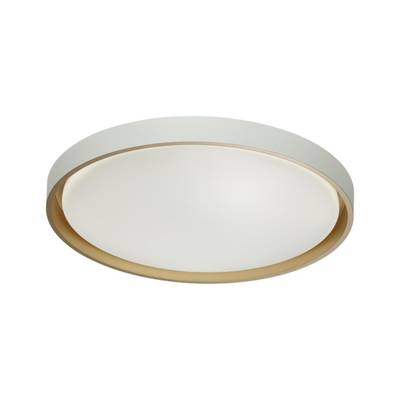 7645/DL COLOR SN 104 Светильник пластик/белый/оранжевый LED 48Вт 4000К D415 IP43 KISIL