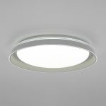 Citilux MEGA CL752351G LED RGB Светильник с пультом Белый + Серый