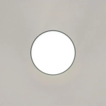 Citilux Борн CL745011N LED Светильник накладной Чёрный