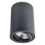 Точечный накладной светильник Arte Lamp SENTRY A1560PL-1BK, 1хGU10