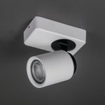 Citilux Норман CL533510 Спот поворотный Белый