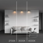 Трековый светильник Зон / Zon Levity 2700К 12Вт 100°, TR189-1-12W2.7K-BBS. TM Maytoni