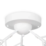 Потолочный светильник Florencia FR5049CL-27W2, G4х27. TM Maytoni