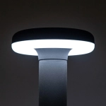 Citilux CLU01B LED Уличный парковый светильник Графит