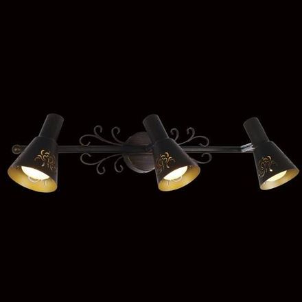 Citilux Дункан CL529531 Спот поворотный Коричневый