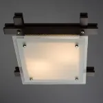 Потолочный светильник Arte Lamp ARCHIMEDE A6462PL-2CK, 2хE27