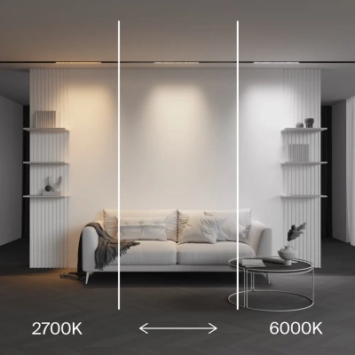 Трековый светильник Точки / Points Exility X 2700-6000K 12Вт 40° Dim Dali2, TR241-4-12WTW-DD2-B. TM Maytoni