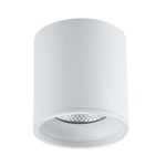 ST165.542.12 Светильник потолочный Белый LED 1*12W 4000K 840Lm Ra>90 36° IP44 D80xH85 85-265V