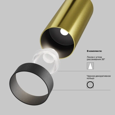 Трековый светильник Фокус / Focus Led Exility 2700-6000K 5Вт 36° Dim Smart, TR032-4-5W3K-M-DS-BBS. TM Maytoni
