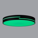 Citilux Купер Лайн CL72470GL1 LED RGB Светильник с пультом Чёрный