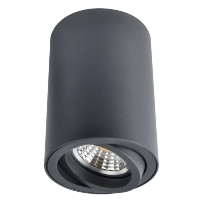 Точечный накладной светильник Arte Lamp SENTRY A1560PL-1BK, 1хGU10