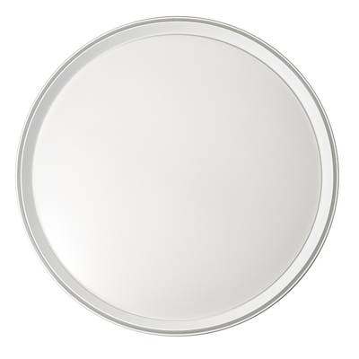 Citilux BOSS CL751450G LED RGB Светильник с пультом Белый