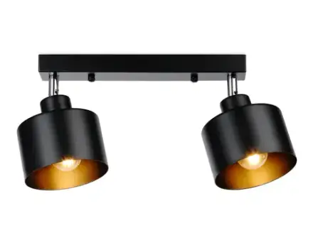 Настенно-потолочный спот в стиле лофт TR8142/2 BK черный E27*2 max 40W 340*120*180 (Уценка по качеству)