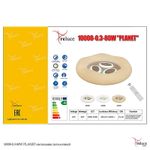 10008-0.3-80W PLANET светильник потолочный