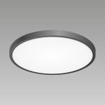 Citilux Бейсик CL738321V Светильник накладной Чёрный
