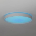 Citilux BOSS CL751450G LED RGB Светильник с пультом Белый