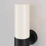 Настенный светильник (бра) Willis E27х1, IP54, O418WL-01B. TM Maytoni