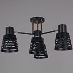 06074-3.3-04 BK+FG светильник потолочный