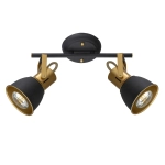 Спот Arte Lamp JOVI A1677PL-2GO, 2хE14