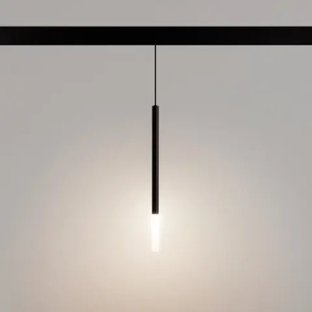 Светильник MAG-ORIENT-STICK-HANG-R20-3W Warm3000 (BK, 180 deg, 48V) (Arlight, IP20 Металл, 5 лет)