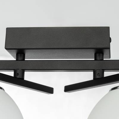 Citilux DORSY CL223122 LED Светильник поворотный Чёрный