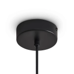 Подвесной светильник FR5541PL-L5B, FR5541PL-L5B. TM Maytoni