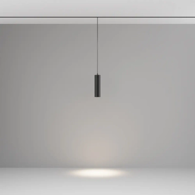 Трековый подвесной светильник Фокус / Focus Led Exility 4000K 12Вт 36°, TR041-2-12W4K-B. TM Maytoni